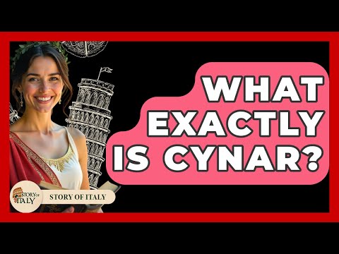 What Exactly Is Cynar? - Story Of Italy