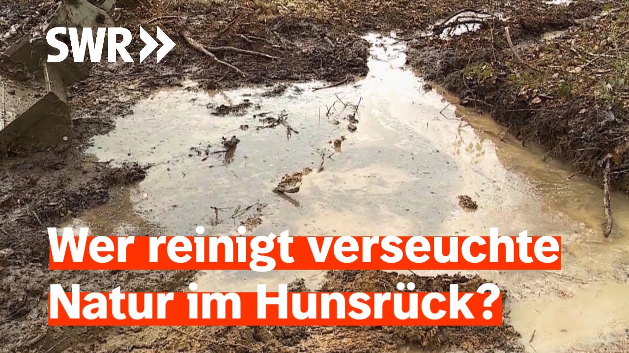 Aufgebohrte Treibstoff-Pipeline – Bach und Boden verschmutzt | Zur Sache! Rheinland-Pfalz