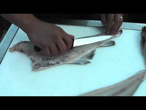 Passionate About Fish - How to fillet a Cod