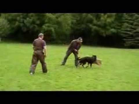 Waleska vom schönen Blick