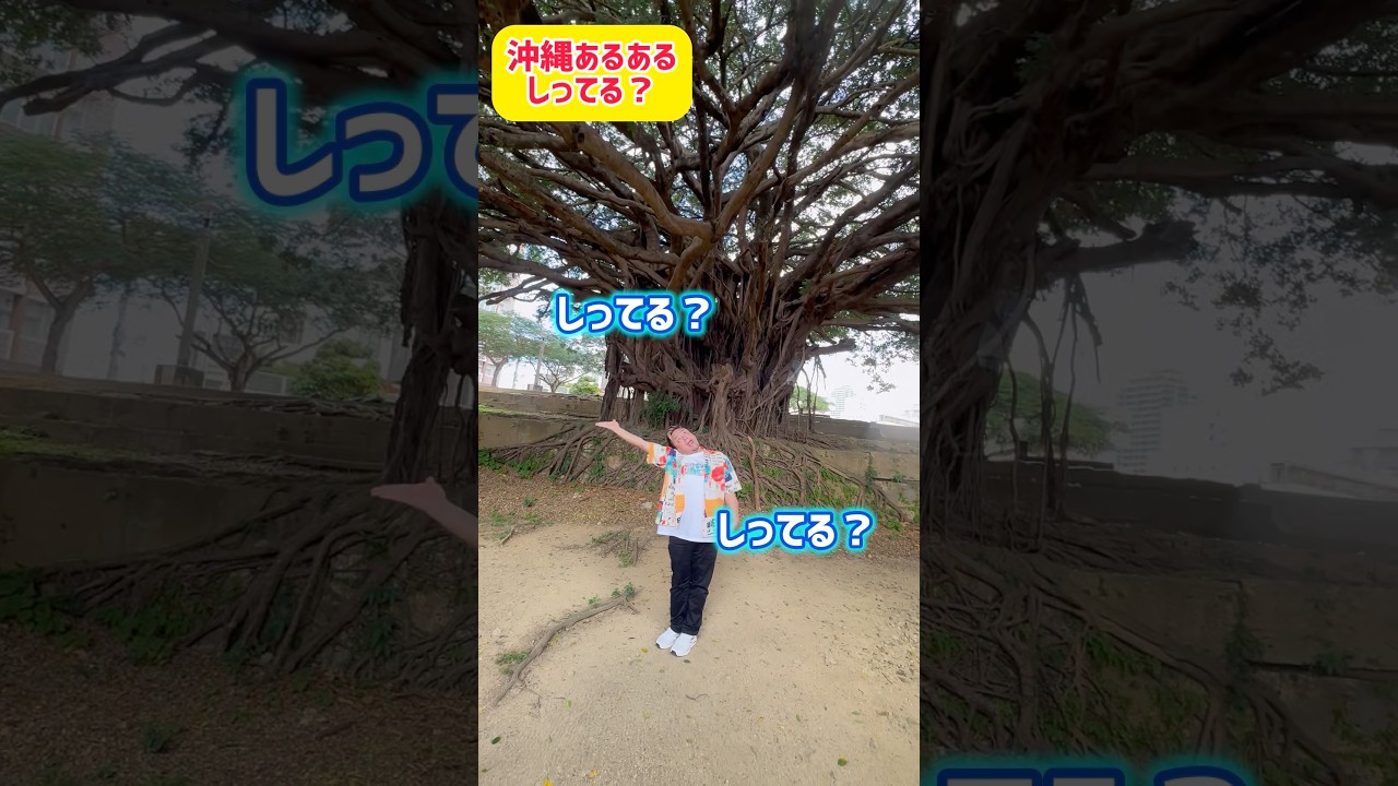 一度は見てほしい🌳沖縄あるある知ってる❓#ジャアバーボンズ #沖縄 #知ってる？ #パワースポット #🌳