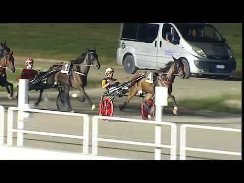 Napoli Trotto 18/08/2023 - 8ª corsa