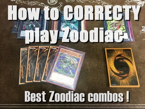 How to CORRECTLY play Zoodiac / combo video