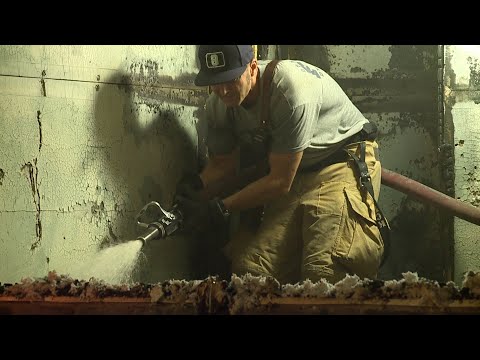 Misc Video