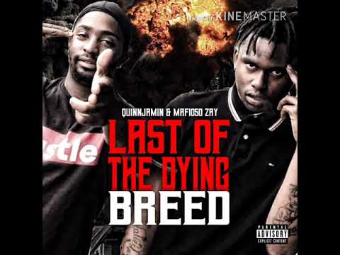 Quinnjamin - Keep Praying