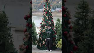 Santa’s early gift🎁🎄