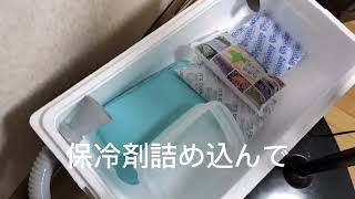 簡易式クーラー作成