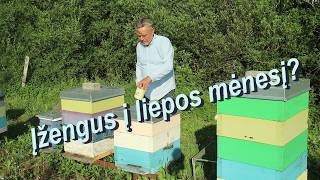 Įžengus į liepos mėnesį?