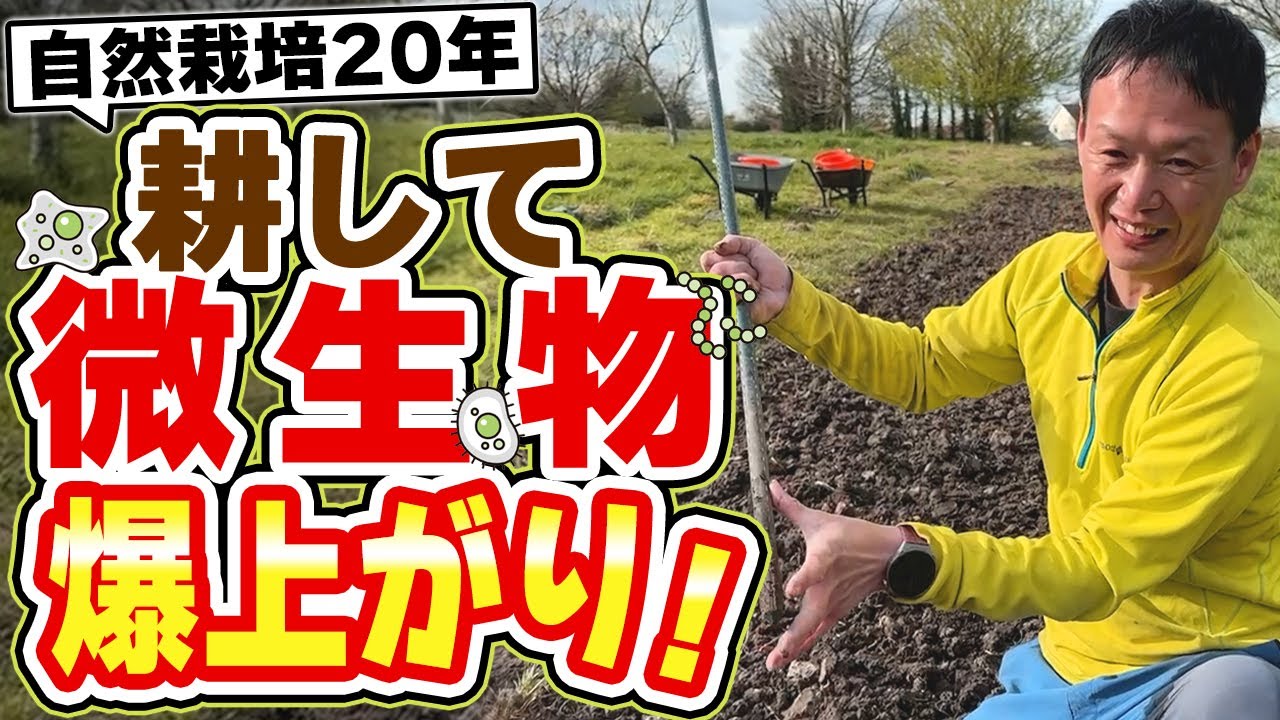 自然栽培で「耕す」利点と土づくりの本質