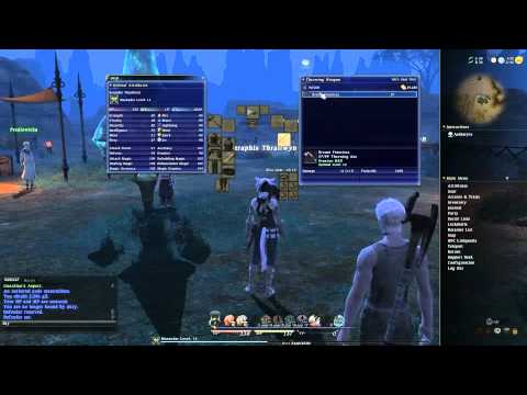 Let's Play - Final Fantasy XIV - Part 25 - Bird's The Word