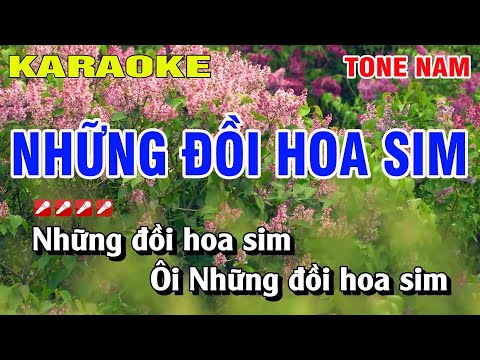 Karaoke Những Đồi Hoa Sim Tone Nam Nhạc Sống | Nguyễn Linh