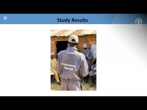 Enabling environments for improved One Health communication