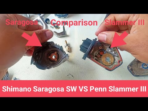 Penn Slammer III vs. Shimano Saragossa