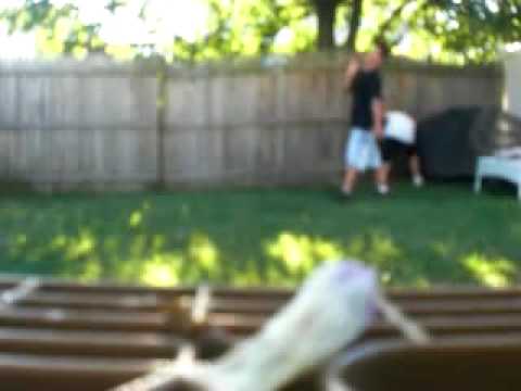 Backyard Football '08 PC