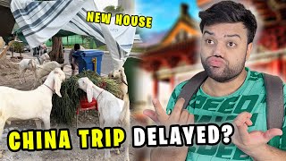 Why Our China Trip Is Delayed! 😓 | Qurbani Ke Bakron Ke Liye Naya Ghar Ban Gaya 😍