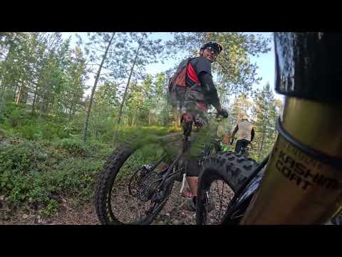 Ulvskollen ned øst - 2025-06-18