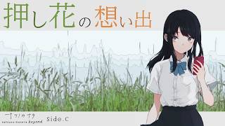 押し花から生まれる、新たなお話。 ナツノのことをもっと知る、 夏の物語。 Side.C【#ナツノカナタbeyond】