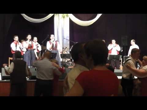 Deset šohajú - DH Trnkovjanka ( Ples muzikantů Hodonín 2015 )