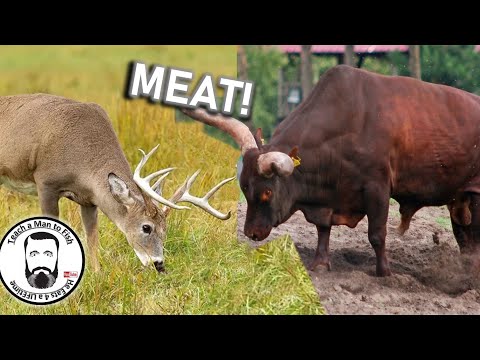 Venison Recipe | Cooking Deer | Deer vs Beef | Is Beef...