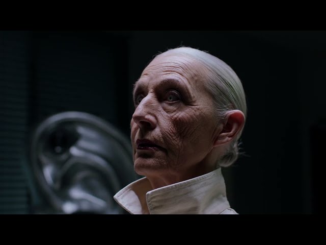 Geld von Ski Aggu ((jetzt ansehen))