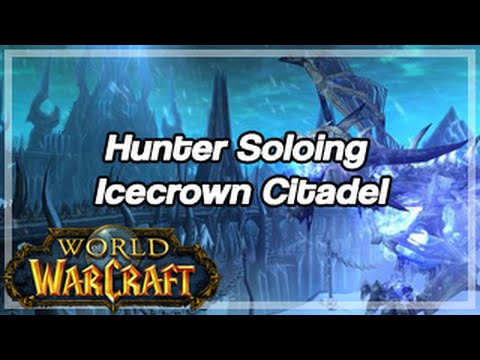[World of Warcraft] Hunter Soloing Icecrown Citadel, all Bosses