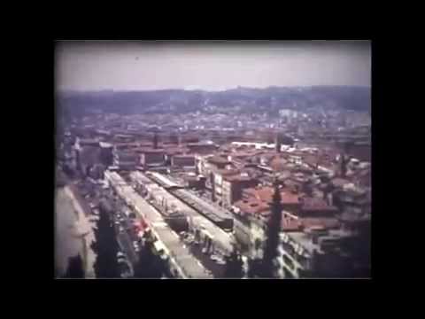 Melon - Pine Tree Yard