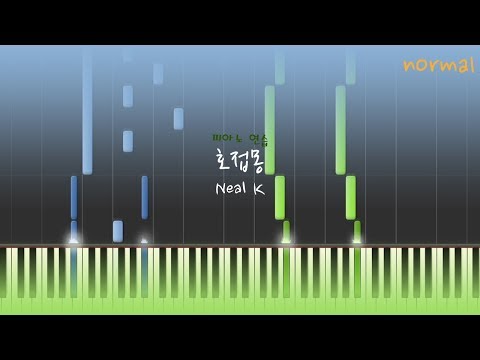 Neal K - 호접몽 /  胡蝶夢 (Butterfly Waltz)