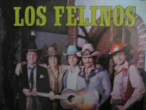 LOS Felinos el tecolote