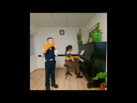 "Sârba Ploieştenilor" (обработка Vasile Iovu)