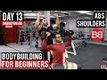 | DAY 13 | Shoulders / Abs Workout Routine for Beginners! (Hindi / Punjabi)