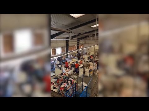 Video thực tế công việc phân lọc đóng gói hàng hóa tại Hungary