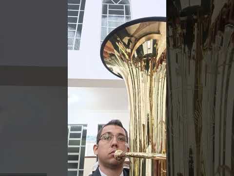 Ensaio Local Ribeirão Claro PR