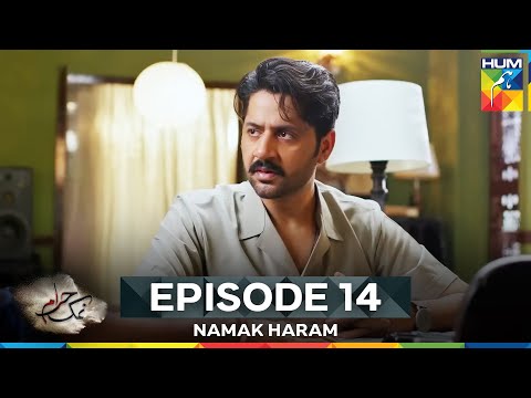 Namak Haram Episode 14