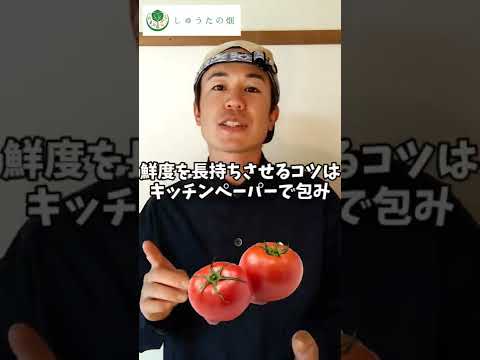 トマトを正しく保存する: 最良のヒント 植物