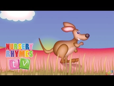 THE KANGAROO SONG | New Nursery Rhymes | English Songs For Kids | Nursery Rhymes TV