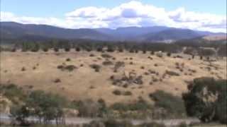 Wrekmeister Harmonies - Then It All Came Down (Official Music Video)