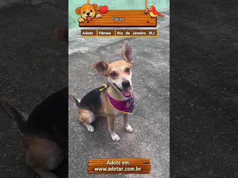Vídeo de Fiona