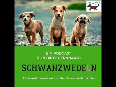 30 Alex hilft..Thema: wenn Hunde spielen - Schwanzwedeln