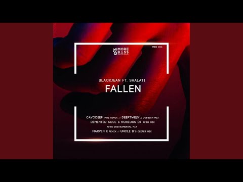 Fallen (Deeptwelv Dubbish Remix)