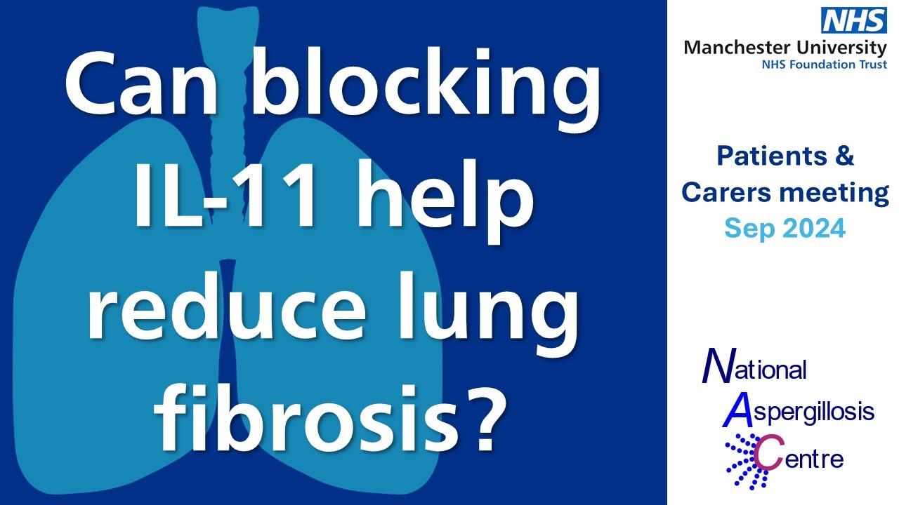 Medications in the pipeline - can blocking IL-11 help to reduce lung scarring (fibrosis)?