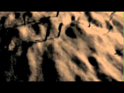 New Risen Throne -  crossing the withered regions