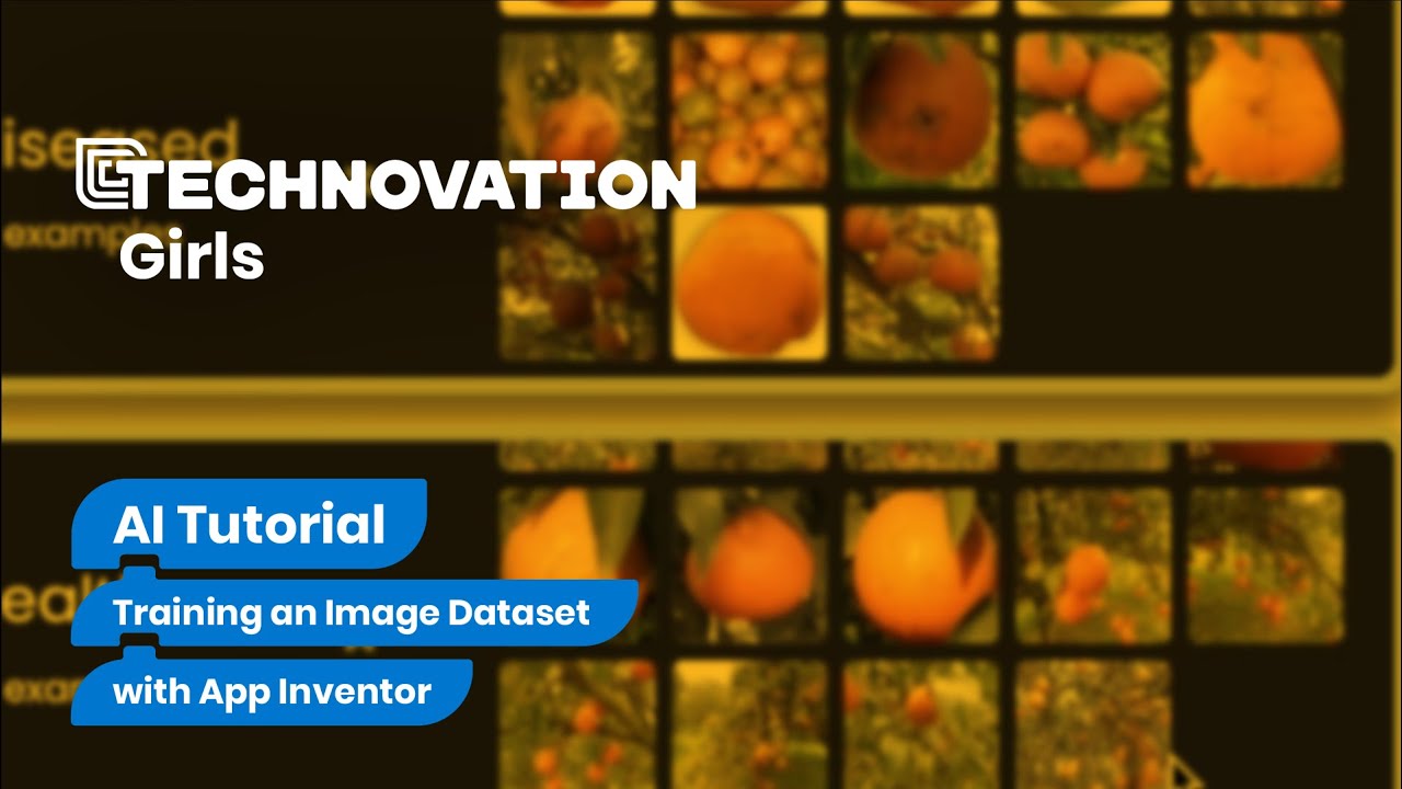 Training an Image Dataset