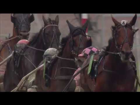 Åby Stora Pris 2017 - Heat B, Muscle Hustle