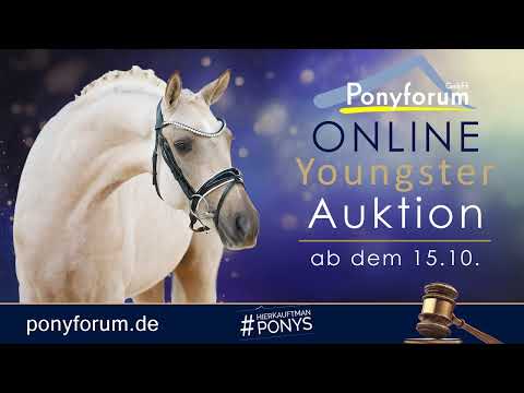 Talisman Wallach 2021 v. Taurus / Feedback