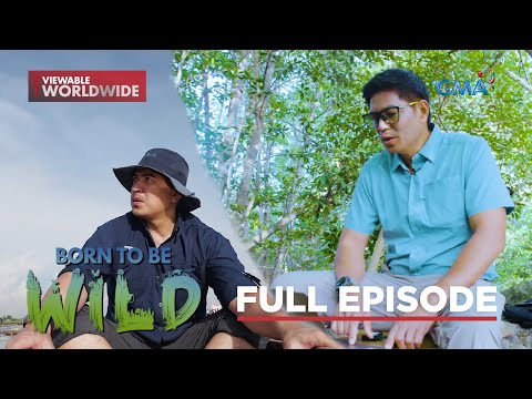 Residents of the Wild (Full Episode) Born to be Wild