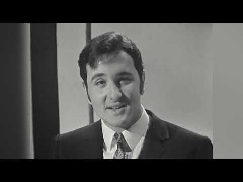 Michel Laurent - Ma reine de Saba