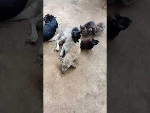 eita chuva maravilhosa tava  precisando , camacan  bahia sul da Bahia