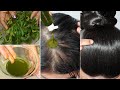 I applied👆🏼World's Best Hair Fall Control Oil & Shampoo that Stopped Baldness-Got Double Hair Growth