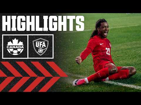 bg-highlight