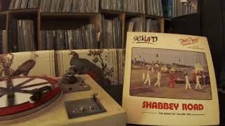 Dave Pratt &amp; The Sex Machine Band -- Couch Potato